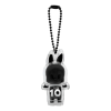 Pop Mart10th Anniversary LABUBU THE MONSTERS SUPER MINI Charm