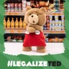Ted2-ted Action Plush Figure